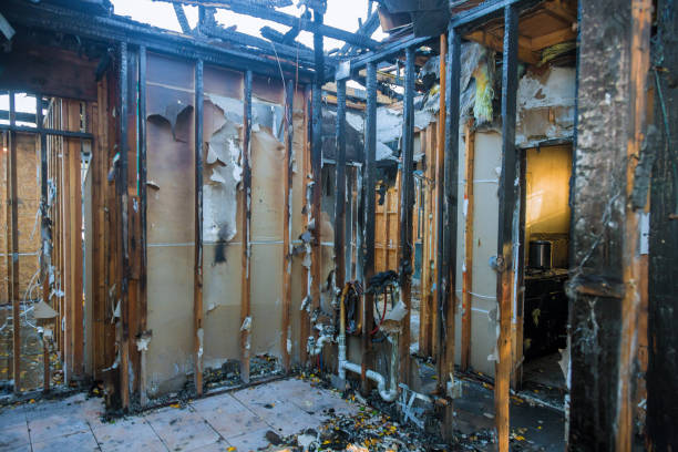Professional Fire Damage Restoration technician working in Anna, IL